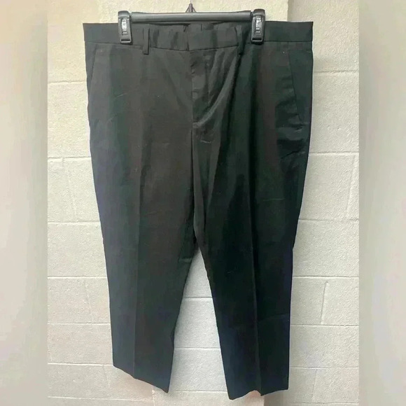 Express Other - Express dress pants